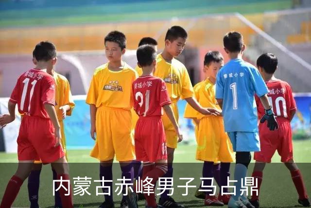 内蒙古赤峰男子马占鼎
